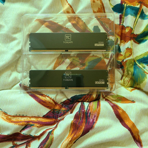 ddr5 램 32기가 (16x2) 팝니다