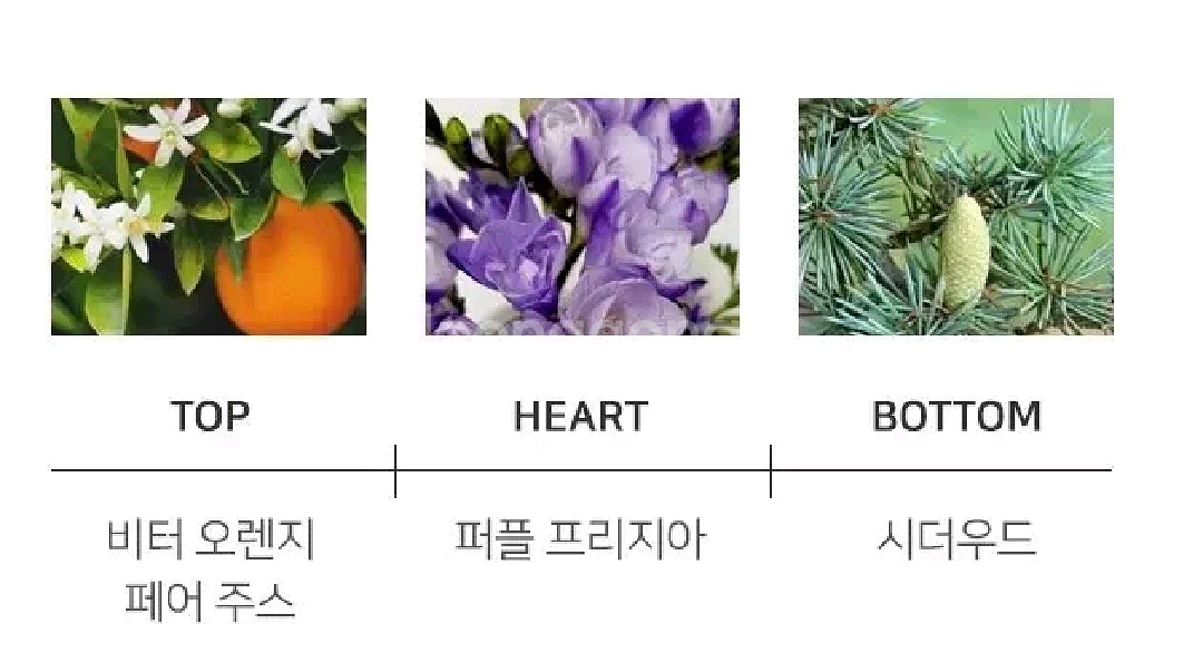 베르사체 뿌르팜므 딜런 퍼플 오드퍼퓸 100ml--2