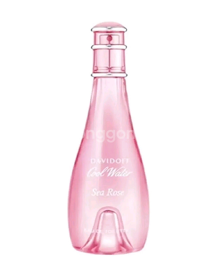 다비도프 쿨워터 씨로즈 오드뚜왈렛 100ml--1