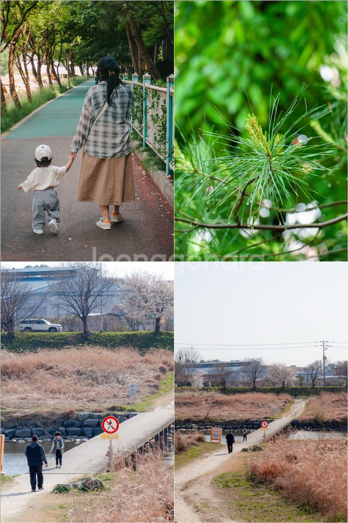 올림푸스 E-420 + 40-150mm 망원렌즈--7