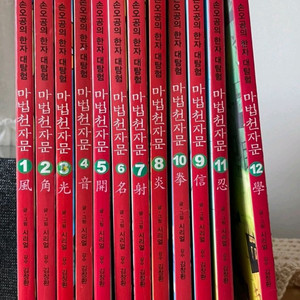 마법천자문 12권