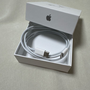 애플 USB-C 라이트닝 케이블