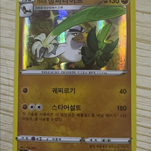 [포켓몬 카드] (홀로 레어) 가라르 창파나이트