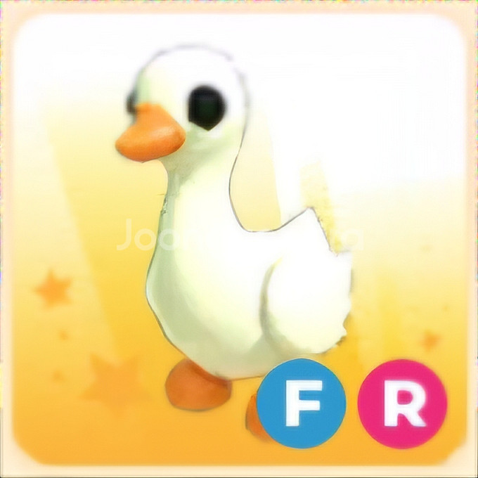입양하세요 FR 거위--0