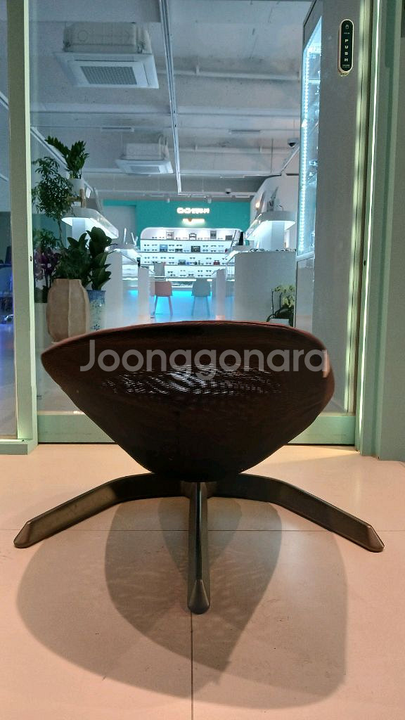 최고급 명품 럭셔리 디럭스 바운서 뉴나. 수도권 전철역--7