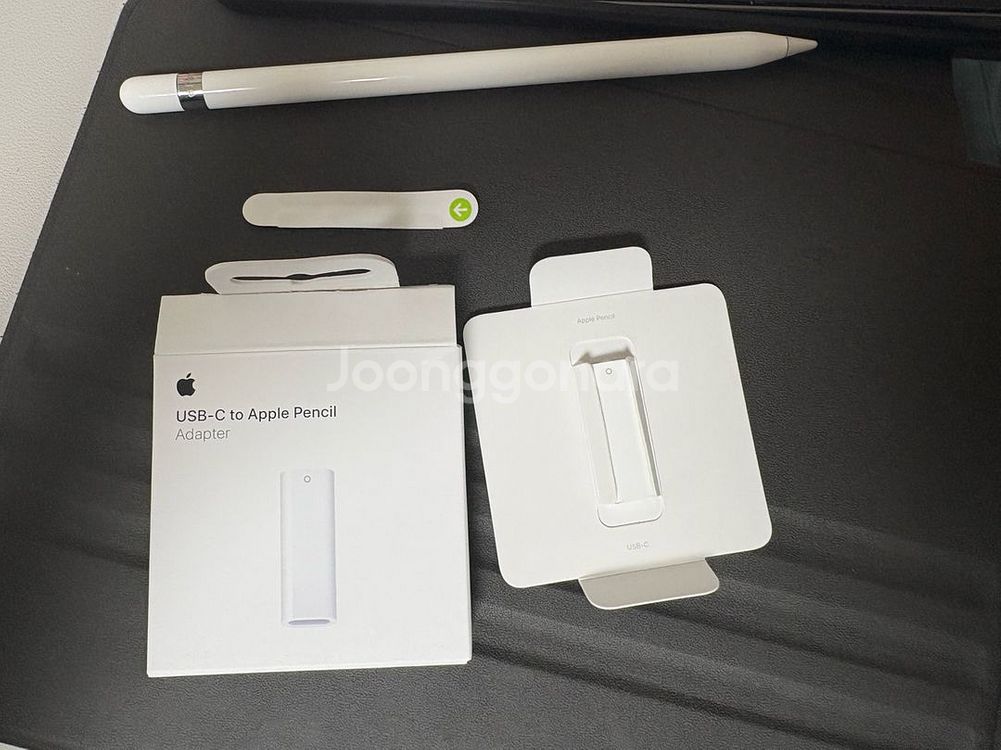 애플펜슬 1세대 + usb--0