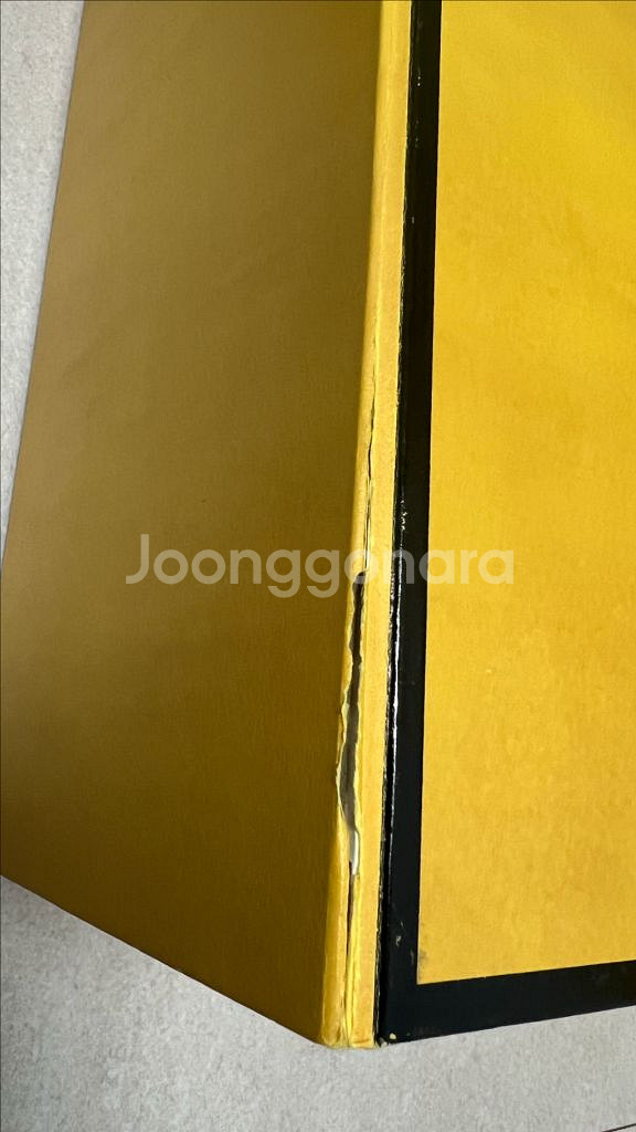 펜디 피카부 8BN290-3ZN--6