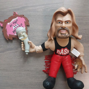 WCW (현 WWE) 케빈내쉬 인형 피규어 팝니다