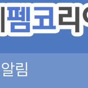 펨코 잉포 3만포