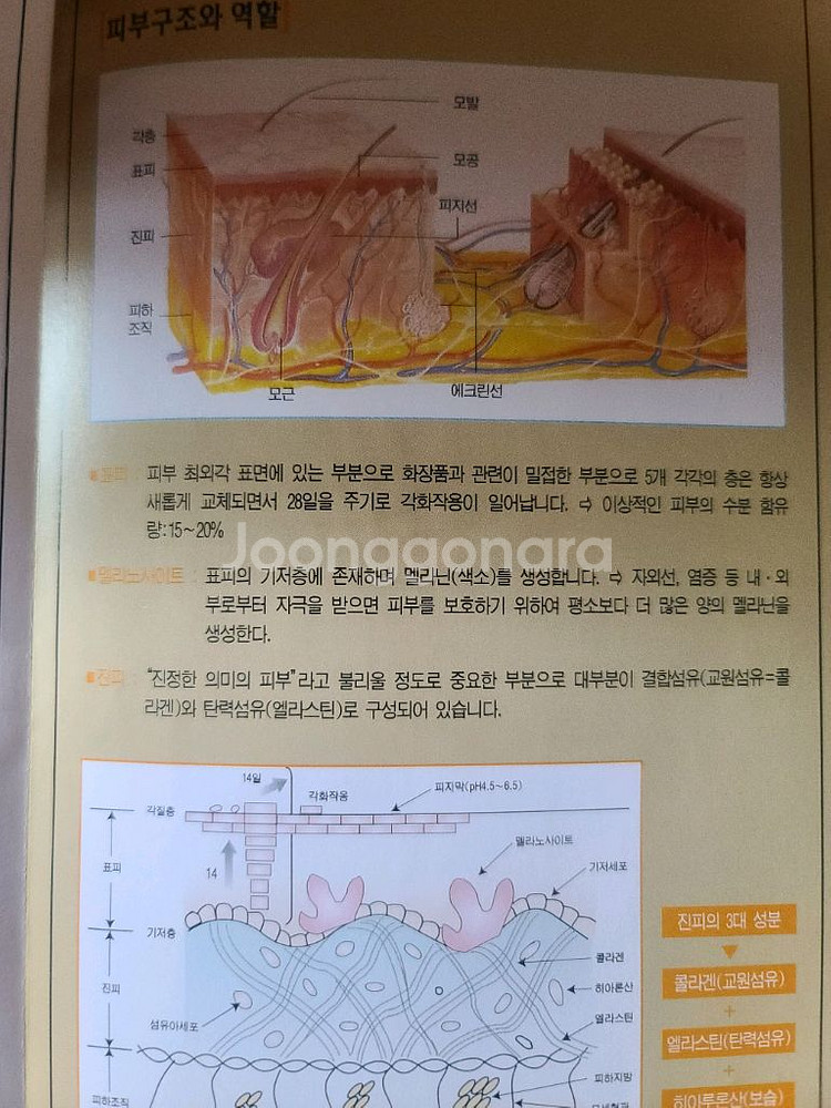 화진 맛사지기 뉴매직플러스 새상품--5