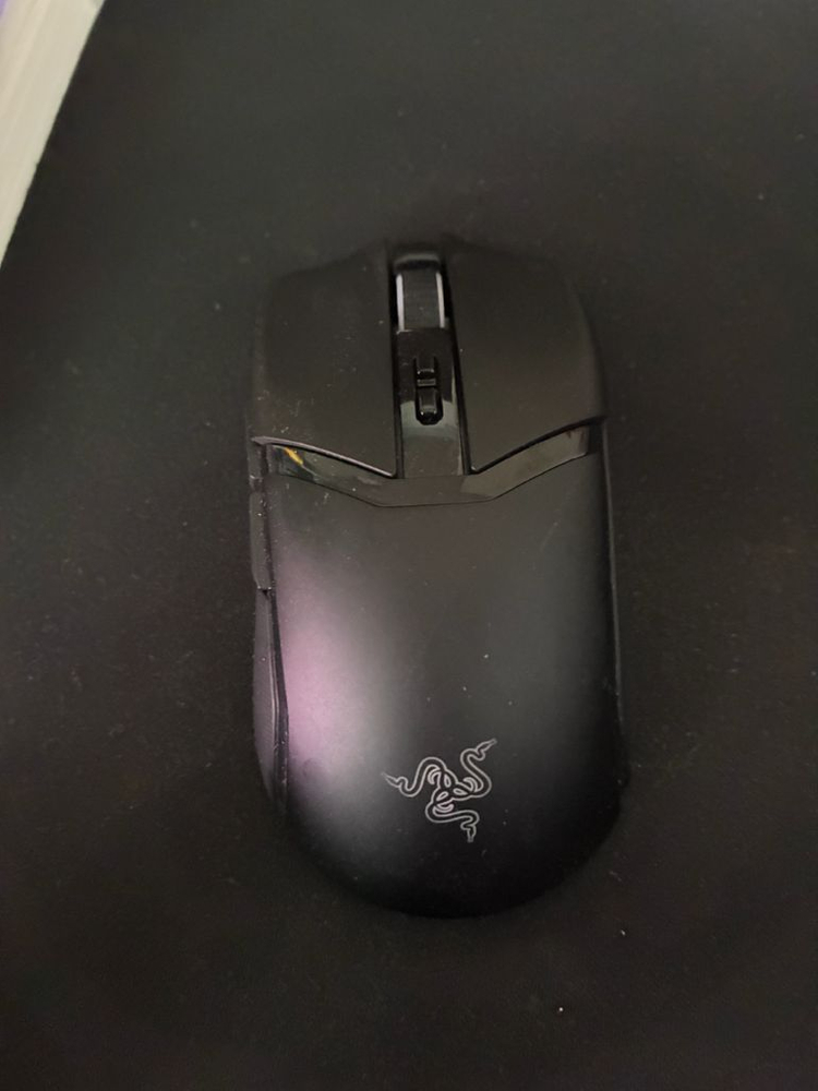 레이저 코브라 프로--0