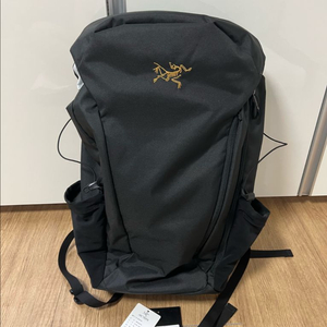 맨티스30