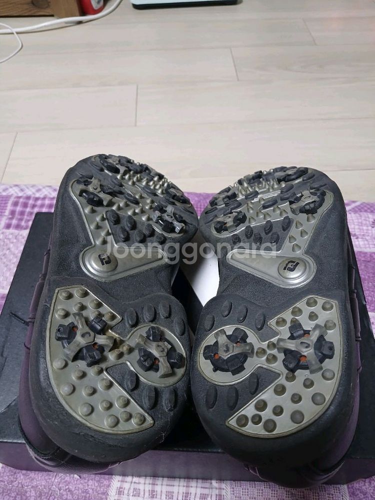 풋조이골프화(250mm)--6