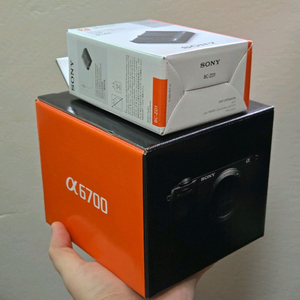 소니 a6700 바디킷 + 소니 BCZD1 듀얼 충전기