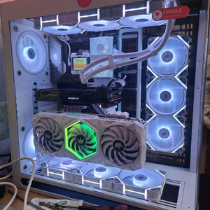 듀얼오리 듀얼 그래픽카드 완본체