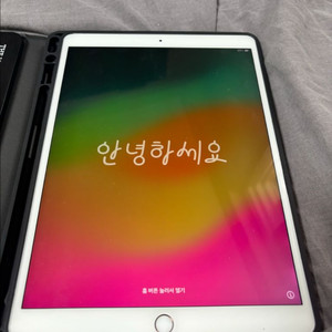 아이패드 프로 2세대 10.5 64GB