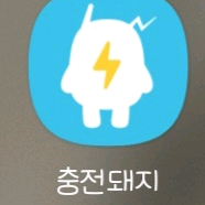 처인구 사시는분 있나요?