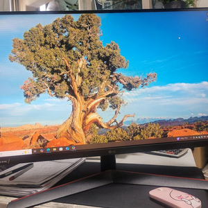 LG(27GN600)울트라기어게이밍 모니터
