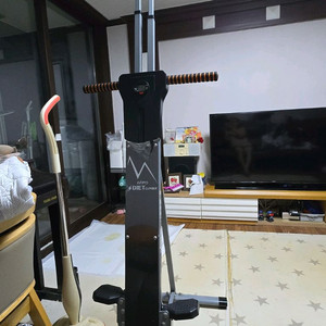 다이어트 클라이머(천국의 계단) 판매합니다.