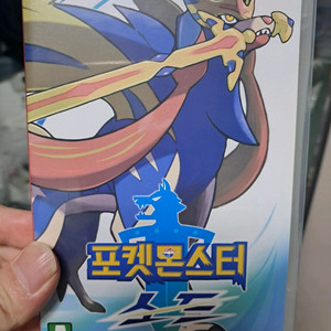 닌텐도 스위치 포켓몬스터 소드