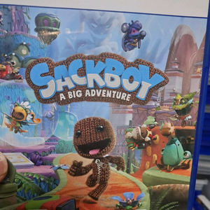 PS5 색보이