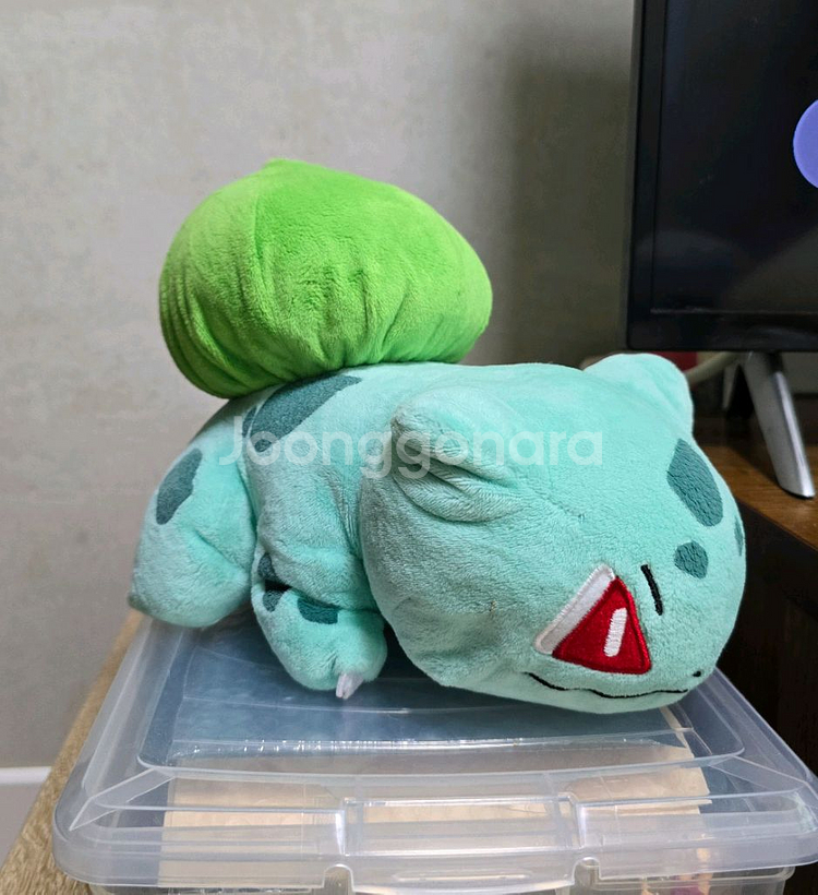 포켓몬스터 이상해씨 인형--0