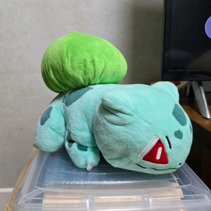 포켓몬스터 이상해씨 인형