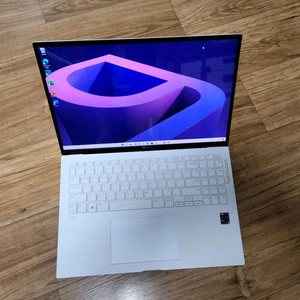 LG그램 노트북 16Z95P, 16인치, 16/512G