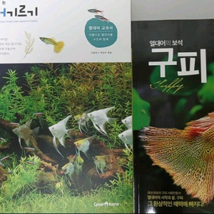 열대어 반려어키우기 2권 세트