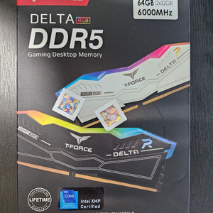 (미개봉) T-Force DDR5 화이트 RGB 64G