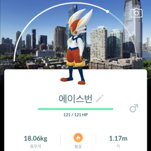 포켓몬고 뉴저지배경 거다이맥스 에이스번