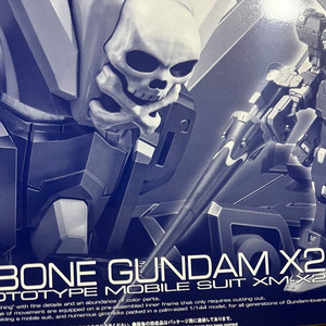 RG 크로스본 x2