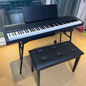 KORG 전자피아노 B2