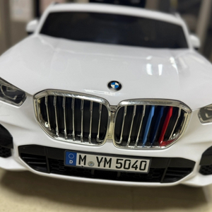 파파야나인 정품 BMW X5푸쉬카