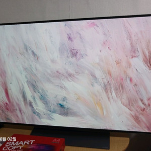 LG 올레드 48인치 OLED48C3ENA TV 판막