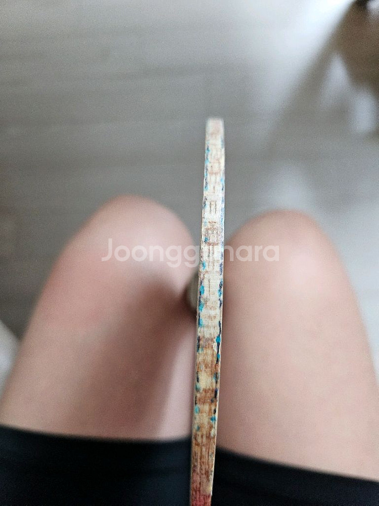 탁구라켓 구형비스카리아 팜--0