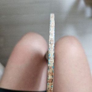 탁구라켓 구형비스카리아 팜