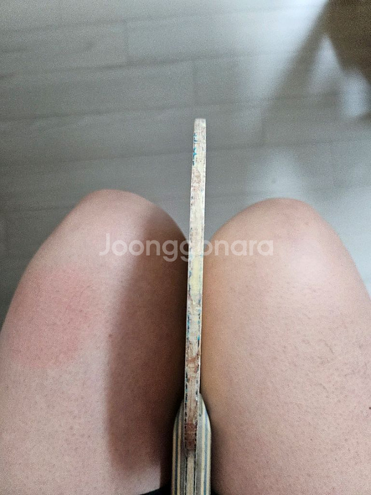 탁구라켓 구형비스카리아 팜--1
