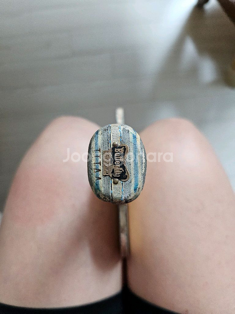 탁구라켓 구형비스카리아 팜--5