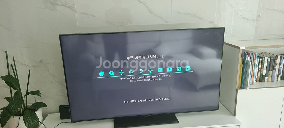 닌텐도스위치 커펌/RCM지그포함--4