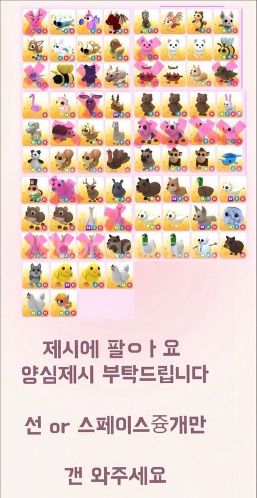 입양하세요 펫 팔아요--0