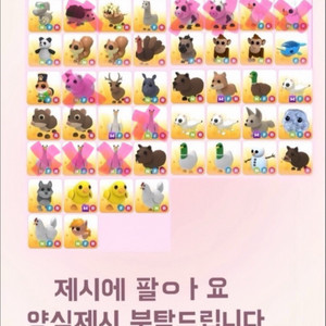 입양하세요 펫 팔아요