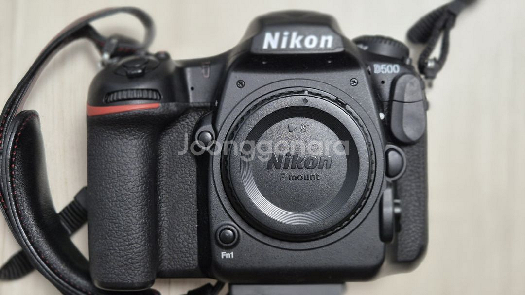 DSLR 니콘 D500 (8,913컷)--0