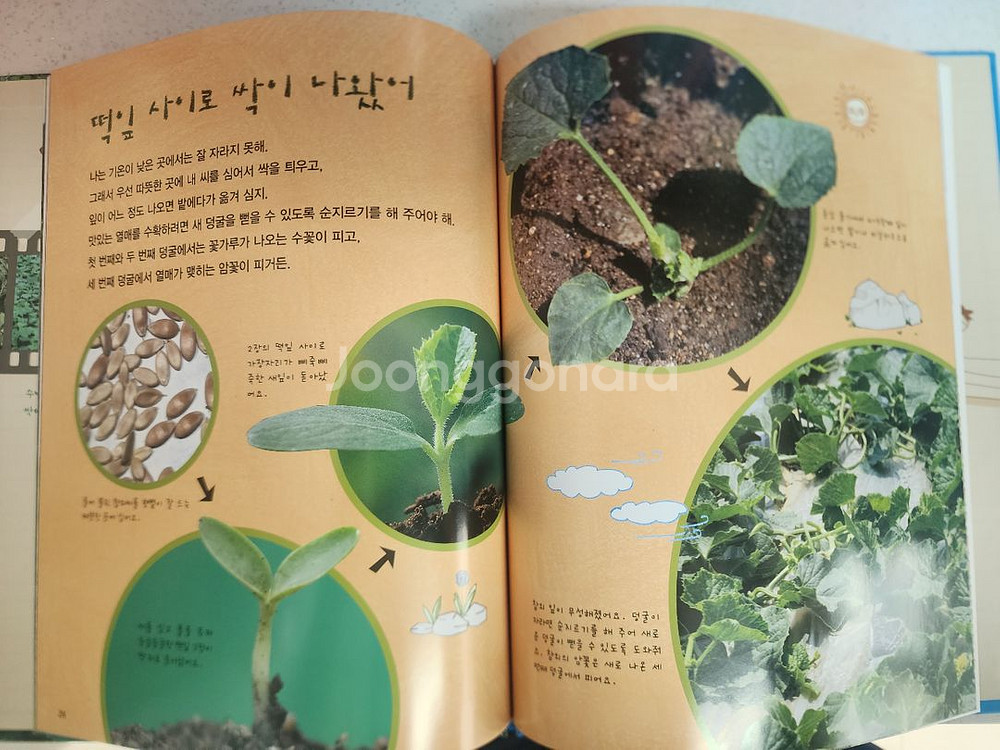 책득템 교과서가 보이는 자연의 신비 60권--4