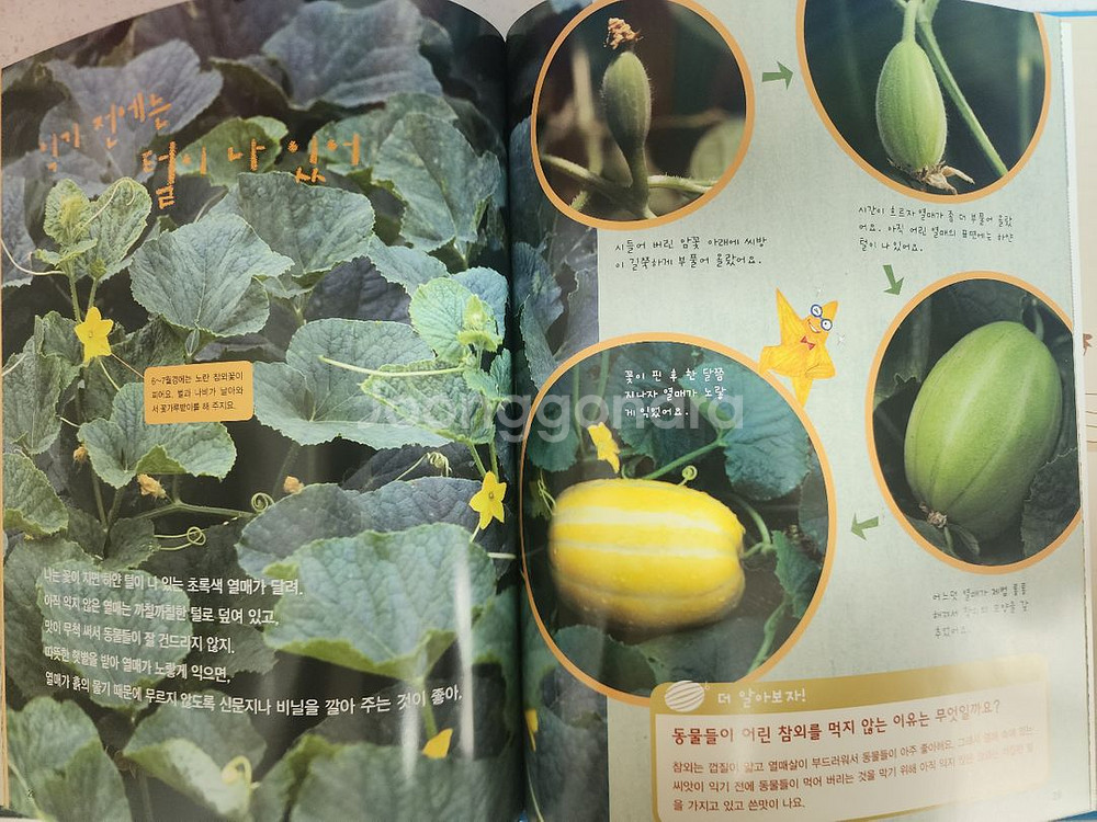 책득템 교과서가 보이는 자연의 신비 60권--3