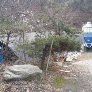 s25울트라 제트블랙 512 삼케플 구입합니다