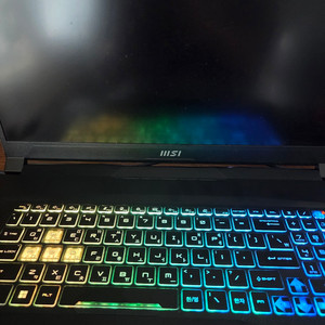 MSI 게이밍노트북 펄스 17 B13VGK-i9 QHD