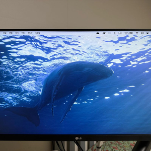 LG 24QP500 24인치 QHD 모니터