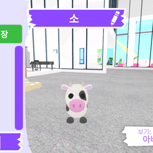 입양하세요 펫 소(젖소) 판매합니다