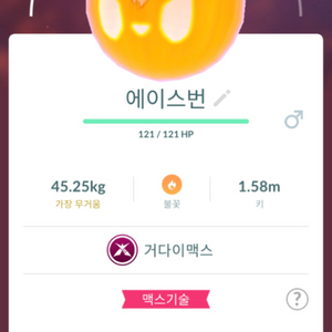 포켓몬고 거다이맥스 에이스번 판매